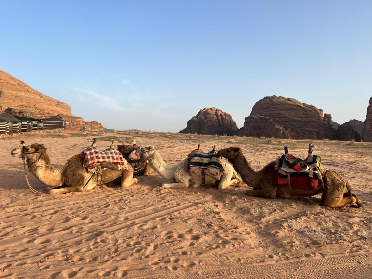 Beduin Star Trail Camp Bed & Breakfast Wadi Rum Exterior photo